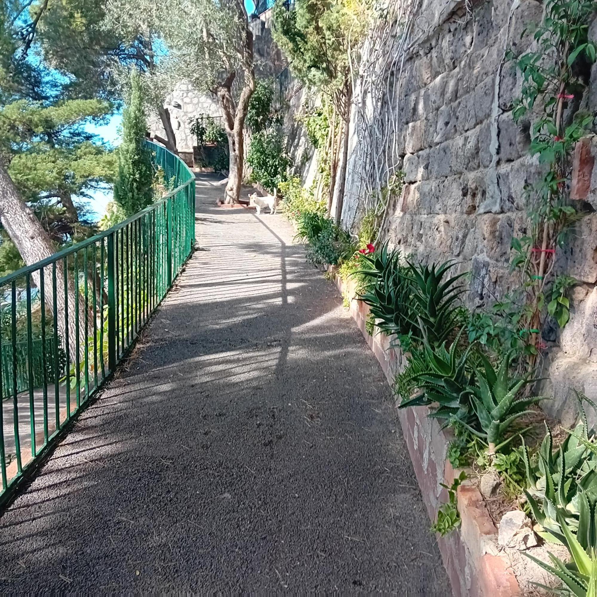 Villa La Galetta Vico Equense Eksteriør bilde