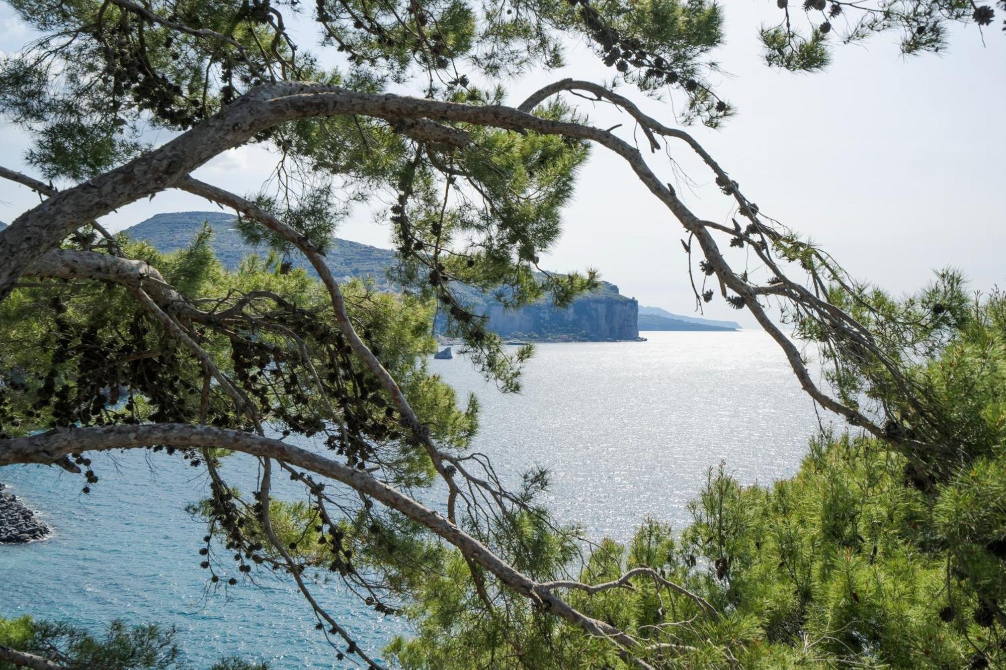 Villa La Galetta Vico Equense Eksteriør bilde